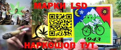 соль ск Новозыбков