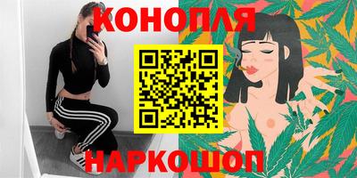 соль ск Новозыбков