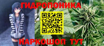 mix Новодвинск