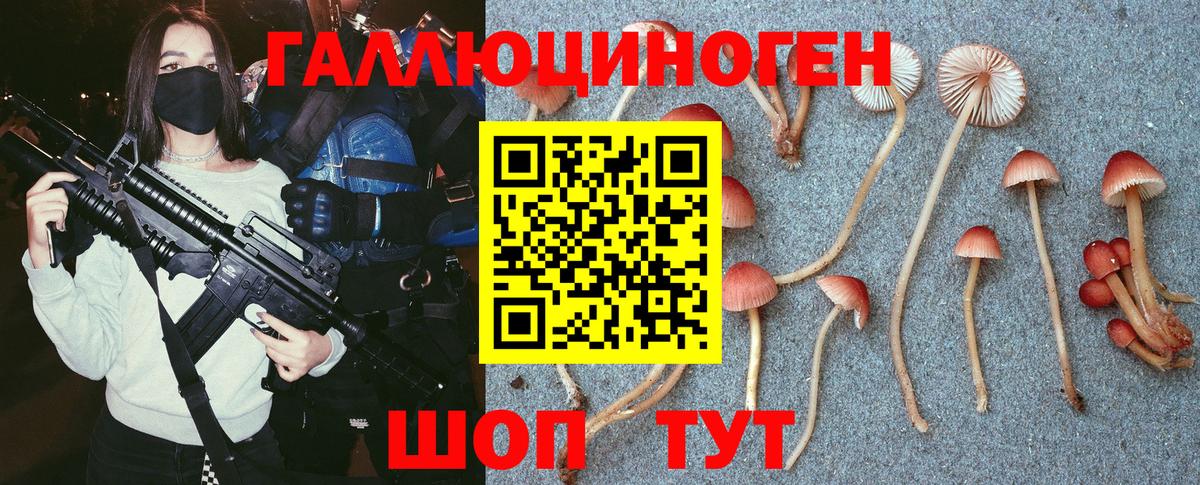 Псилоцибиновые грибы Psilocybe Сухой Лог