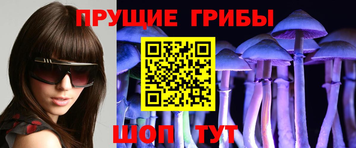 Псилоцибиновые грибы ЛСД  Вход с VPN  Сухой Лог 
